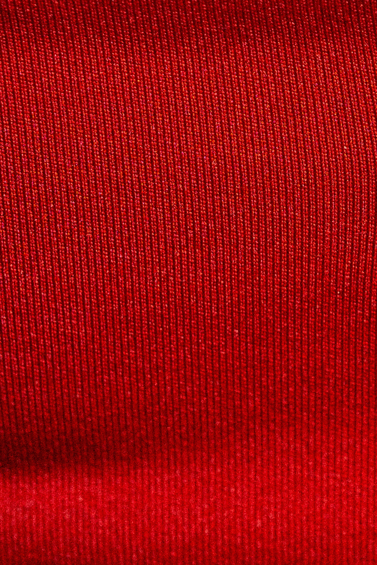 Polar Endurance RED